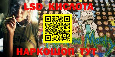 индика Кулебаки