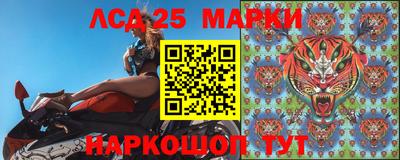 индика Кулебаки