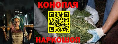 индика Кулебаки