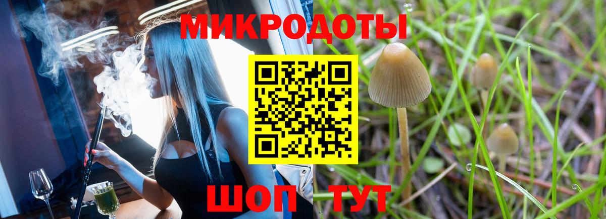 Псилоцибиновые грибы MAGIC MUSHROOMS Ишим